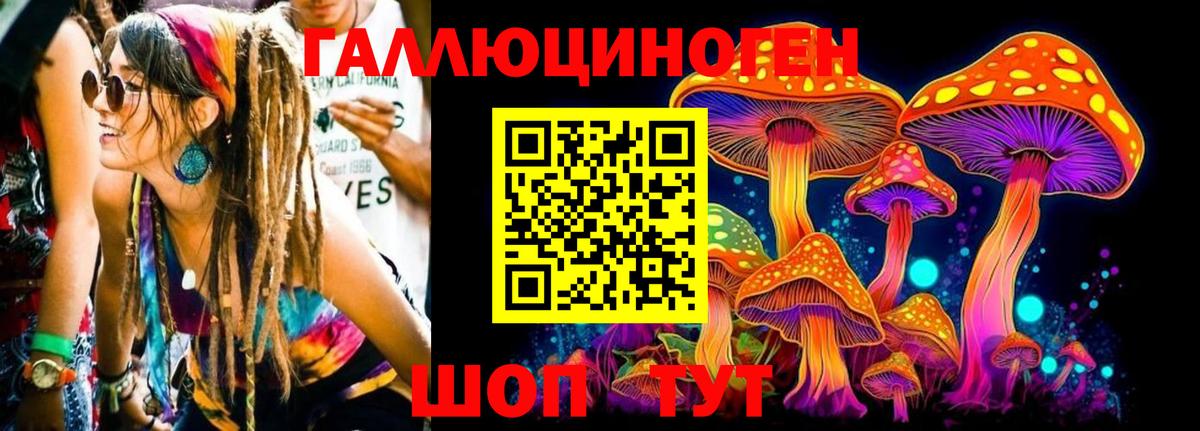 Псилоцибиновые грибы GOLDEN TEACHER Балтийск