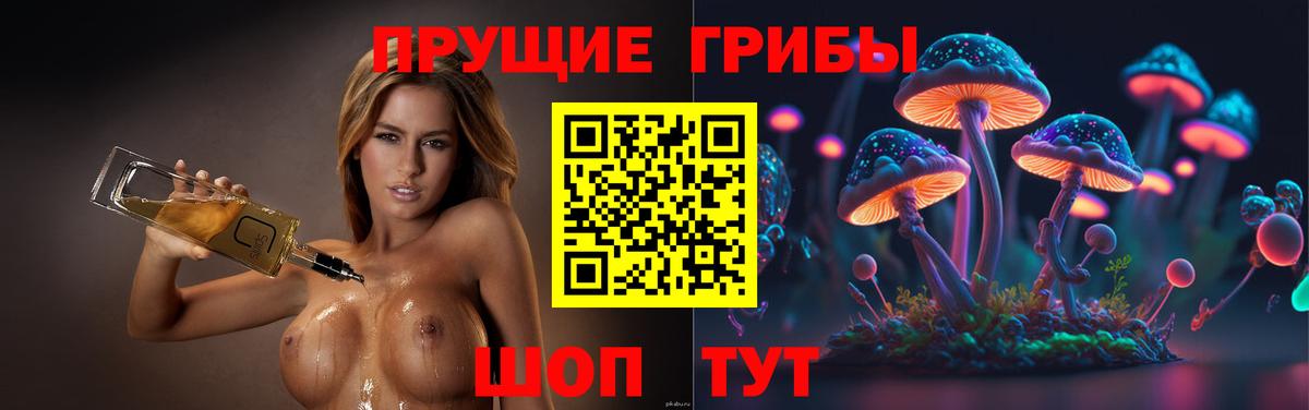 Псилоцибиновые грибы мицелий  Вход с VPN  Балтийск  Псилоцибиновые грибы Cubensis 
